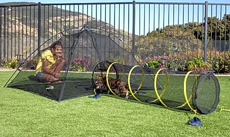 Outback Jack Kitty Compound