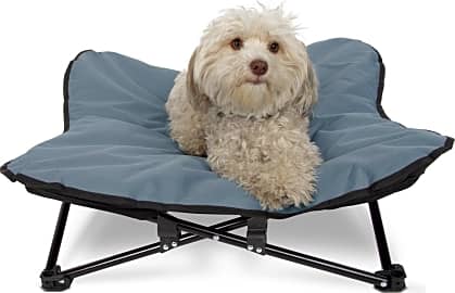 Paws & Pals PTBD-C01-MM