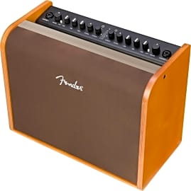 Fender 100