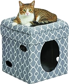 MidWest Curious Condo