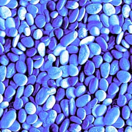 Quality Pool Products Stoney Creek