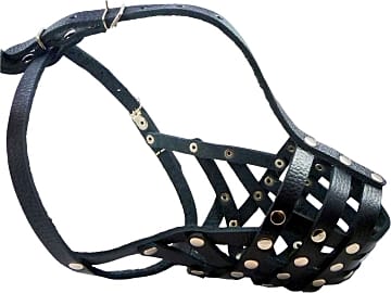 Dogs My Love Secure #11