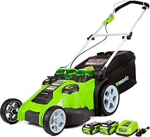 Greenworks Twin Force
