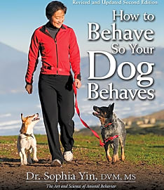 How to Behave So Your Dog Behaves