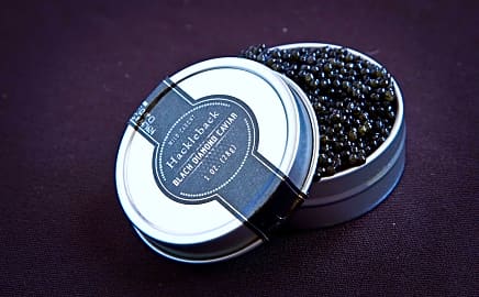 Black Diamond Hackleback