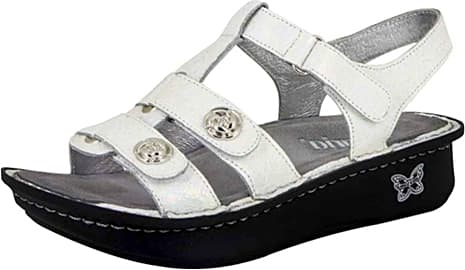 Alegria Kleo Gladiator