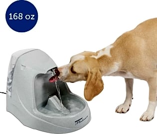 PetSafe Drinkwell Platinum