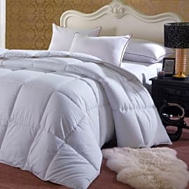 Royal Hotel Overfilled