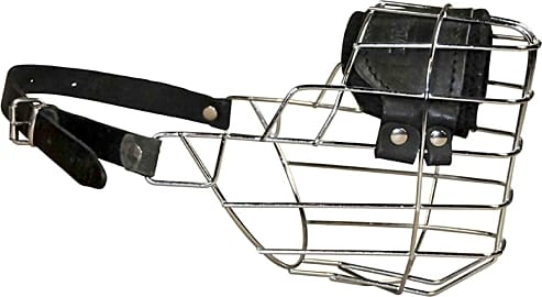 Dean and Tyler DT Freedom