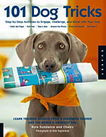 Step by Step Activities to Engage, Challenge, and Bond