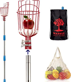 Watele Basket