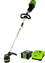 Greenworks Pro