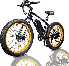 Ecotric Fat Tire