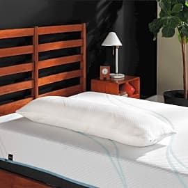 Tempur-Pedic Standard