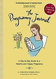 Pregnancy Journal: A Day-To-Day Guide