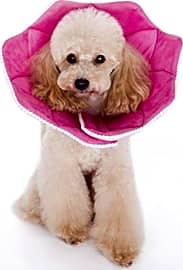 Alfie Pet Pink Recovery Collar