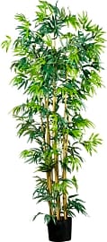 Nearly Natural Bambusa Bamboo