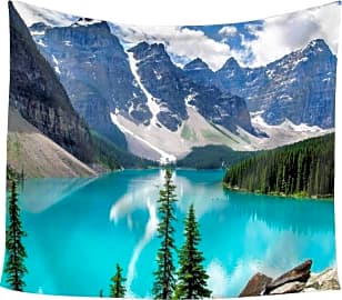 Qchengsan Sunset Forest