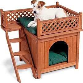 Merry Pet Room With A View