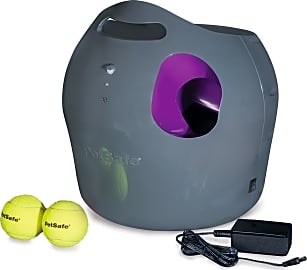 PetSafe Fetch System