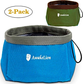 Awake Lion Foldables