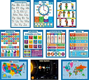 Palace Curriculum Learning Charts