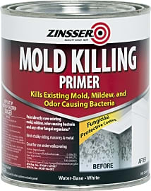 Zinsser Mold Killing Primer