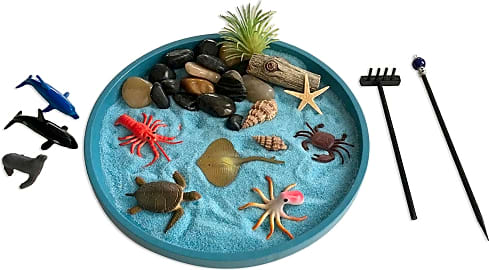 Zen Life A Day at The Ocean