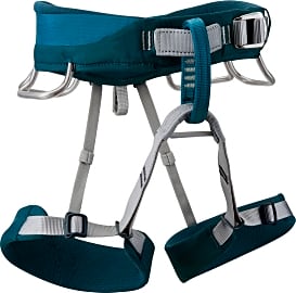 Black Diamond Primrose