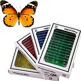 BestOfferBuy 48 Piece