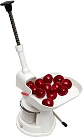 Roots & Branches White