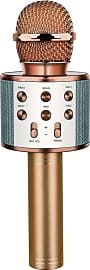 Dreambox Karaoke Microphone