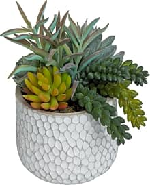 MyGift 8-inch Arrangement