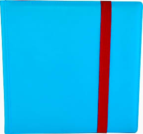 Dex Protection 12-Pocket