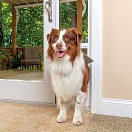 PetSafe Freedom Sliding Glass