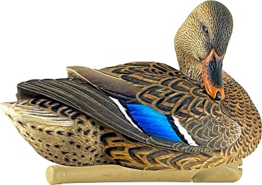 Avian-X Top Flight Preener 8072