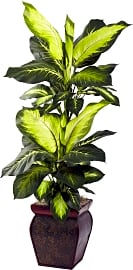 Nearly Natural Golden Dieffenbachia