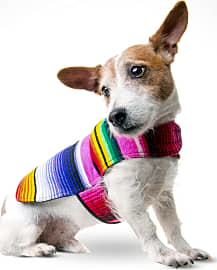 Baja Ponchos Serape Blanket