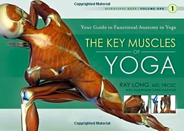 The Key Muscles of Yoga