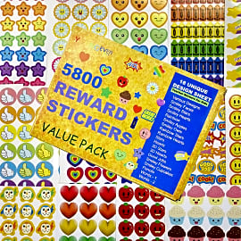 Youngever Teacher Stickers