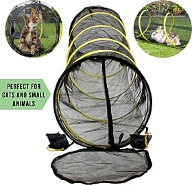 Outback Jack Fun Run