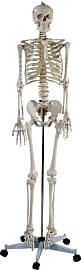 Giantex Medical