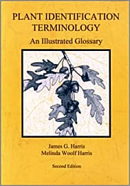 Plant Identification Terminology