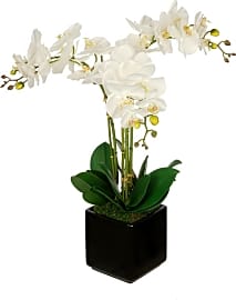 House of Silk Flowers Orchid