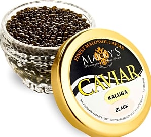 Marky’s Kaluga Hybrid