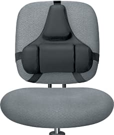 Fellowes Professional