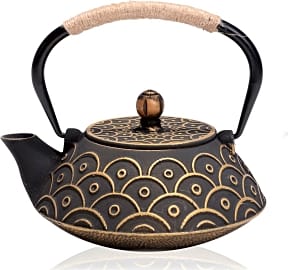 Jueqi Japanese Tetsubin