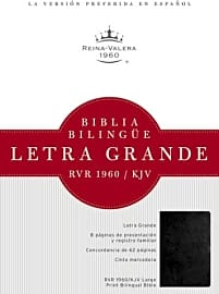 B&H Español Large Print