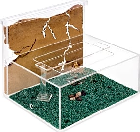 Anthouse Formicarium