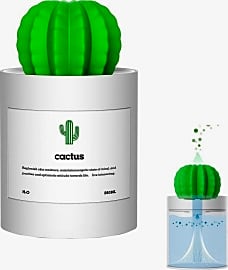 Onuemp Cactus